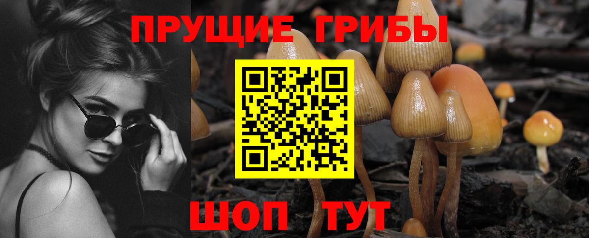 Галлюциногенные грибы Magic Shrooms  цены наркотик  Мирный  Псилоцибиновые грибы Cubensis  Вход с VPN 